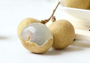 网纹瓜来月经可以吃吗,女性养生新选择