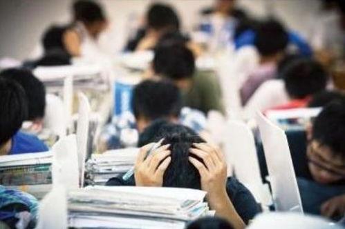 苏州母子高考吃瓜,一场意外的“高考风云”