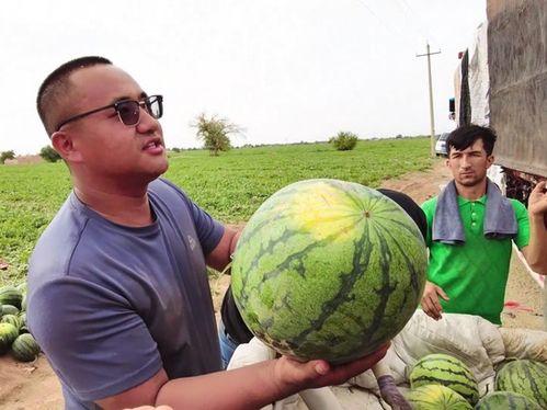 比奇吃瓜,揭秘娱乐圈的甜蜜与苦涩