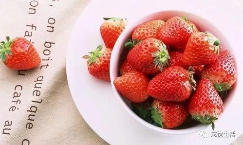 草莓岛吃瓜群,揭秘岛民们的欢乐日常与趣味互动