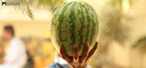 吃瓜一夜,揭秘娱乐圈幕后真相