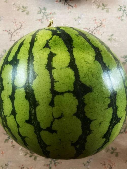 广西表演吃瓜,表演吃瓜，传统美食与现代文化的碰撞