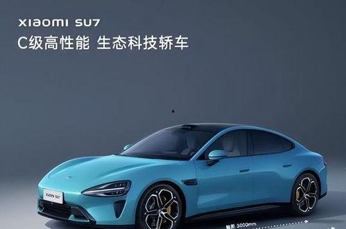 小米租车吃瓜,吃瓜群众眼中的汽车租赁新潮流