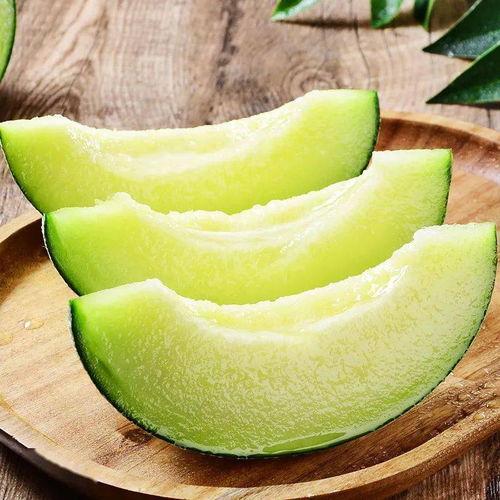 脱轨吃瓜蜜瓜,揭秘瓜界新宠的甜蜜诱惑