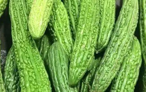 天天吃凉瓜,天天吃凉瓜，健康生活每一天