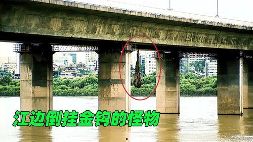 汴京桥下吃瓜,市民热议桥下美食文化